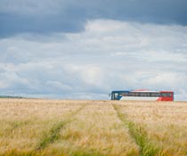 Bus Tours